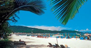 Тайланд. Пхукет. Патонг. Отзывы об отдыхе. Советы туристам